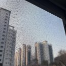 신안실크밸리1차 경로당 | 파주 방충망 금촌 신안실크밸리 1차 미세방충망 교체 시공