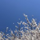 푸른솔 민박 | 군산 신시도 1박3식 군산푸른솔펜션 가족여행 숙소 유람선까지 가능한 군산숙소 후기