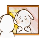 드로잉로그 이미지