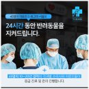 큰사랑동물병원 이미지