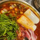 The 건강하게 야무지개 | 마운자로 1주차 후기 내돈내산 마운자로를 이긴자로..