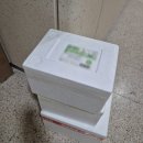 ▶제주 흑돼지 생삼겹살 1만 원대로 구입하고 먹은 내돈내산 후기!