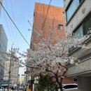 놀숲 송파점