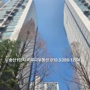 다래홈마트 네이버블로그