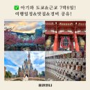 아기와 함께한 도쿄 7박 8일 여행 일정 총정리! 디즈니랜드부터 아타미 온천까지
