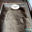 달선청국장 | 의정부 수락산편백원 웰니스로 유행하는 효소찜질 평일 후기 준비물