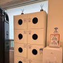 블랙맘바짐 이미지