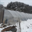 마지2리 마을회관 이미지