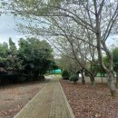 표선생활체육관 테니스장 이미지