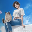 인조이