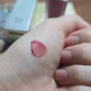 헤라유통 | 💄쿨톤 립스틱 추천: 헤라 센슈얼 립틴트 95호 Rococo, 176 Cherry Plum 리뷰