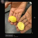 감사할 줄 아는 사람 곁에 머무는 일상의 행복