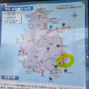 제주 우도 여행 버스투어 진짜 맛집 발견 호로락