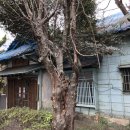 구 진해해군통제부 병원장 사택 이미지