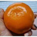 튼튼장어 무한리필 일광점 이미지