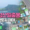 제주성산공인중개사사무소 이미지