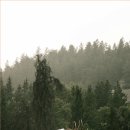 화장품대방출 이미지