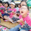 김종익농장 뉴시스