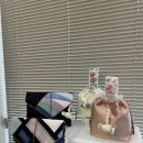[GJSE 인더+뷰] 지역 공방에서 스벅 굿즈를 만든다고?! 에이핸즈협동조합 임정하 대표 인터뷰