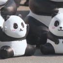 판다통신 이미지
