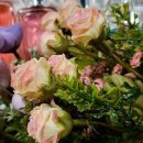 아로마포레스트 이미지