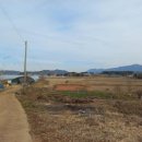 양항1리마을회관 이미지