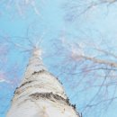 로뎀의촌 이미지