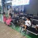 제주 스카이워터쇼 티스토리