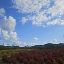 명신반점 이미지