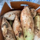 영광군푸드뱅크 이미지