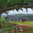 경희태권도장 이미지