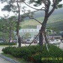 장곡(청통) 이미지