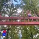 메타세쿼이아랜드 | 332일 루틴 주말 여행 담양 메타세쿼이아랜드 여행 후기