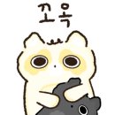 4D 게임랜드 이미지