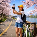 구암리 자전거도로 가로수 | 공용자전거 요금, 주차, 포인트 적립 꿀팁