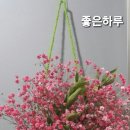 좋은하루