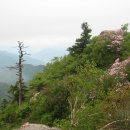 비엔나모텔 이미지