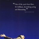 샤인우드 이미지