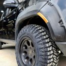 세미타이어 이미지