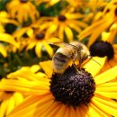 삼송경희한의원 이미지