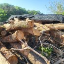 바이크탐방로 이미지