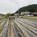 사랑농장 2 이미지