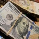 책과 글나무 이미지