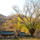 운곡농장 이미지