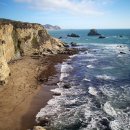 푸르른삶의노래 이미지