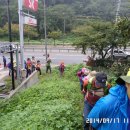 성관목장 Daum카페