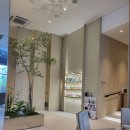 양지의료기 | [리뷰]내돈내산 효도선물1위 세라젬 V6 솔직후기