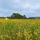 운천공인중개사사무소 이미지