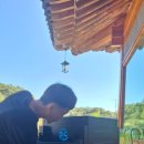 란스테이 이미지