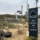 숨앤티 이미지